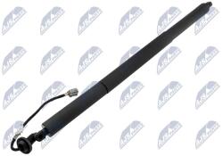 NTY Amortizor portbagaj NTY AE-FR-076 (AE-FR-076)