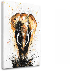 A kép a vásznon SLON 1 rész XOBDA054E1