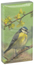 Esschert Design Állatmintás zsebkendő, cinegés (TP220-C) - kertesotthonbolt