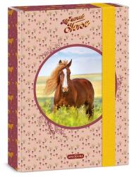 Ars Una füzetbox A5 My Sweet Horse (50863587) - gigajatek
