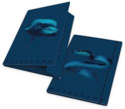 Pigna Monocromo Blue A4 karton gumis mappa (P2110-0200) - bevachip