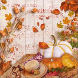 Ambiente Colours Of Autumn papírszalvéta 33x33cm, 20db-os