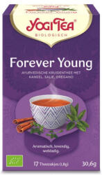 YOGI TEA bio Wellbeing (Jó közérzet) tea 17db