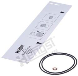 Hengst Filter Filtru ulei HENGST FILTER Z17 D625 (Z17 D625) - automobilus