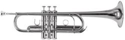 ROY BENSON Tr-402cs Rb701089
