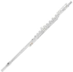 ARMSTRONG 701.111 Fl650e Fuvola