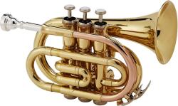 ROY BENSON Gewapure Rb701.000 Roy Benson Pt-101 Zsebtrombita