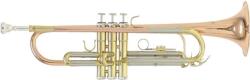 ROY BENSON Gewapure Rb701.075 Roy Benson Tr-202g Trombita