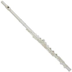 Trevor J. James Cantabile Fuvola Nyitott Ezust