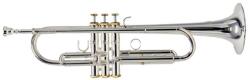 ROY BENSON Rb701087
