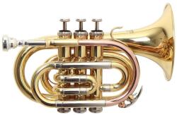 ROY BENSON Pt-302 Rb701020
