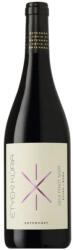 ETYEKI KÚRIA Pinot Noir 2024 DRS (0, 75L) - goodspirit