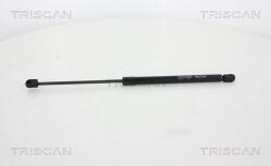 TRISCAN Amortizor portbagaj TRISCAN 8710 25264 (8710 25264) - automobilus