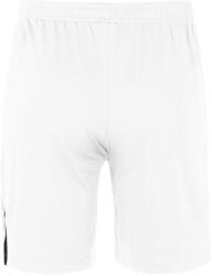 Nike Sorturi Nike YOUTH TEAM SPIKE SHORT - Alb - L