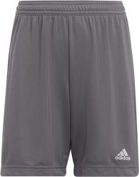 adidas Sorturi adidas ENT22 SHO Y - Gri - XS (123-128 cm)