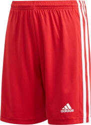 adidas Sorturi adidas SQUAD 21 SHO Y - Rosu - XS (123-128 cm)