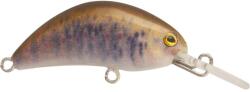 Rapture Pro Hot Bean Area S Brt 3.5g 40mm wobbler (180-07-098) - fishingoutlet