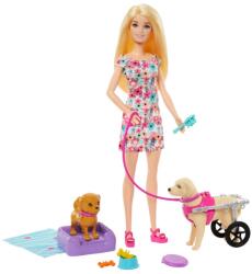 Mattel Barbie, Papusa si caine, set de joaca Papusa Barbie