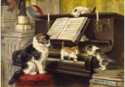 Enjoy 1551 - The Piano Lesson - 1000 db-os puzzle