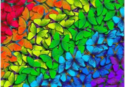 Enjoy 1961 - Rainbow Butterflies - 1000 db-os puzzle (1961)
