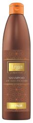 Argan Professional Sampon Argan Professional Repair, Par deteriorat, 500 ml