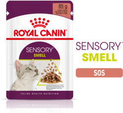 Royal Canin Sensory Smell, hrana umeda pisici, stimularea mirosului (in sos), 12 x 85 g (303370)