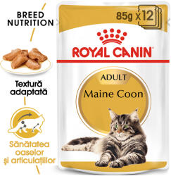 Royal Canin Maine Coon Adult hrana umeda pisica (in sos), 12 x 85 g (AT17P)