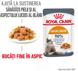 Royal Canin Hairball Care Adult hrana umeda pisica, limitarea ghemurilor de blana (in aspic), 12 x 85 g (CW39L)