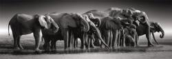 Clementoni - Puzzle Herd of Giants panoráma - 1 000 piese