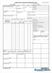 Victoria Nyomtatvány, nemzetközi tehergépjármű menetlevél, A3, VICTORIA PAPER "B. 7300-237 (NVB7300237) - kecskemetirodaszer