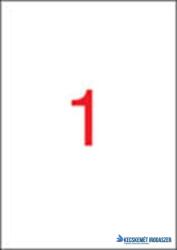 APLI Etikett, 210x297 mm, poliészter, matt fehér időjárásálló, APLI, 100 etikett/csomag (LCA12121) - kecskemetirodaszer