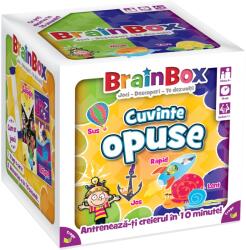 Cambridge BrainBox Joc educativ BrainBox, Cuvinte opuse