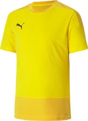 PUMA Bluza Puma teamGOAL 23 Training 65648207 Marime M (65648207)