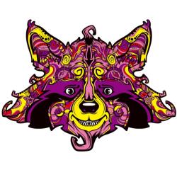 HARAHU Fa puzzle-Raccoon/M KP21964