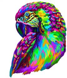 HARAHU Fa puzzle-Pappagallo/M KP21992