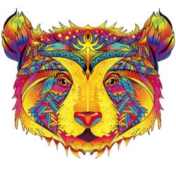 HARAHU Fa puzzle-Color Bear/S KP21982