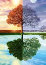 Schmidt Spiele - Puzzle Arborele anotimpurilor - 500 piese Puzzle
