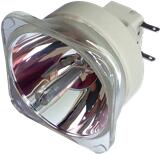 BARCO R9801309 lampă originală fără modul (R9801309)