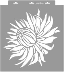 MyWall Protea stencil - Festő - 38x42 cm nagy