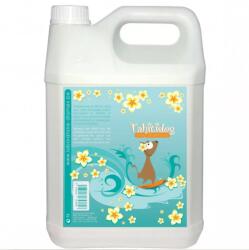 Laboratoire Diamex Diamex Tahiti Dog sampon pentru caini - 5 lt