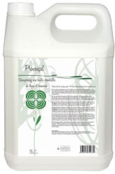 Laboratoire Diamex Diamex Sampon Provencal Thym-Rosemary - 5 lt