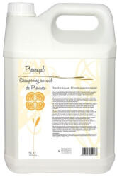 Laboratoire Diamex Diamex Sampon Provencal Honey - 5 lt