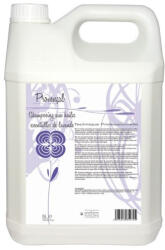 Laboratoire Diamex Diamex Sampon Provencal Lavande - 5 lt