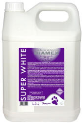 Laboratoire Diamex Diamex Super White sampon pentru caini blana alba - 5 lt
