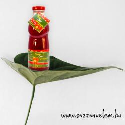  Prémium rostos Eper gyümölcsszörp 500ml