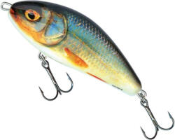 Salmo Vobler Salmo Fatso Floating F10F, culoare RR, 10cm, 48g (84550130)