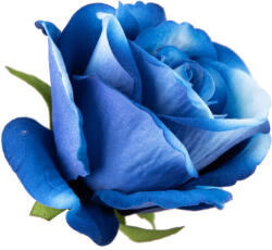Valex Decor Bársony rózsafej, 8cm - Kék (AF122-08)
