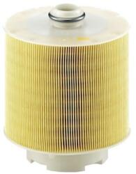 Asam Automotive Filtru aer ASAM AUTOMOTIVE 70180 (70180)