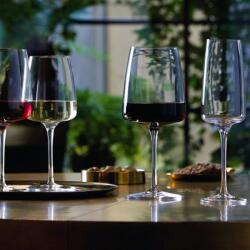 Bormioli Rocco Set 6 Pahare Vin Bormioli Nexo 478 ml (365749GTM021990) Pahar