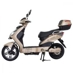 RACCEWAY E-FICHTL 25km/h - 12Ah - arany